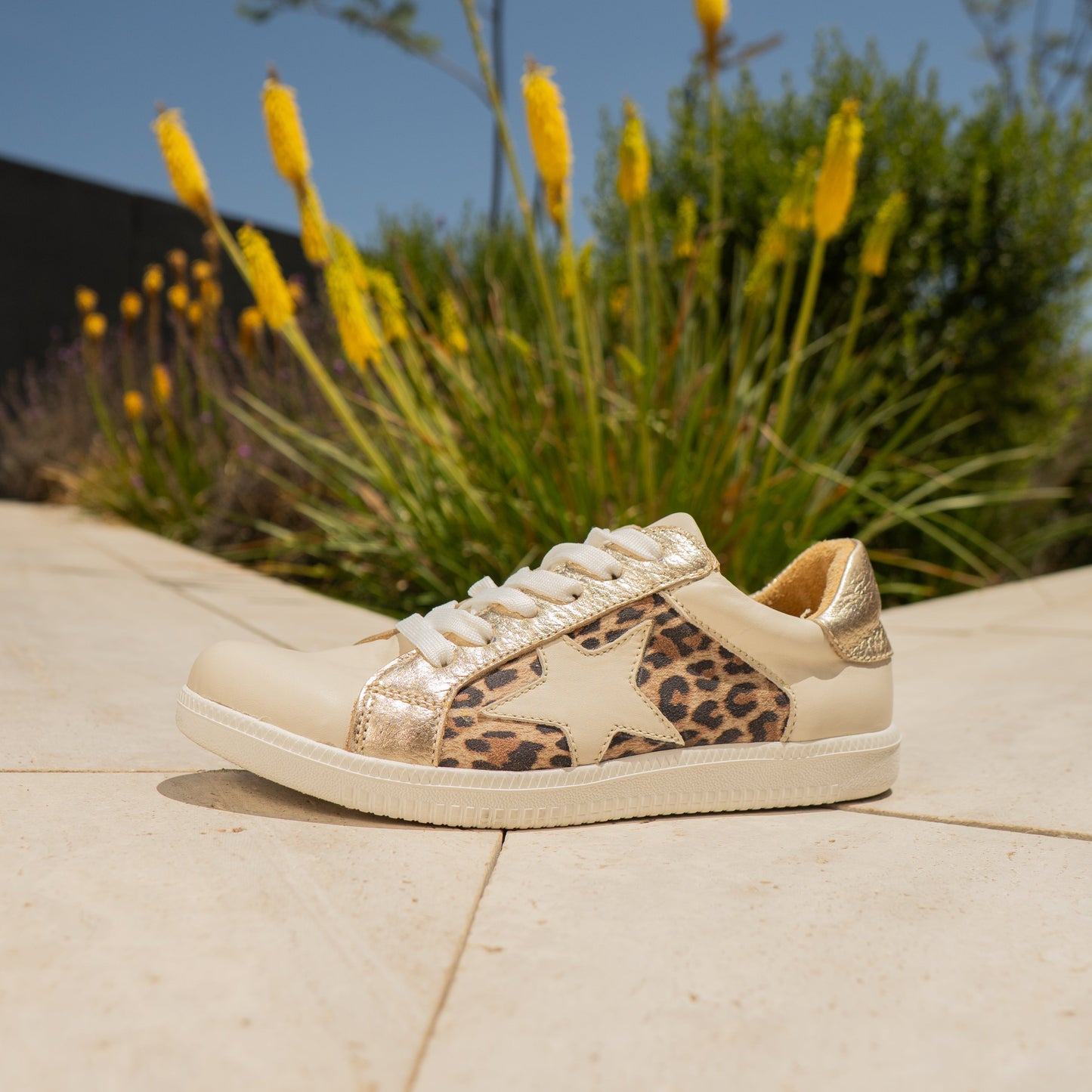 Zapatilla StarPrint