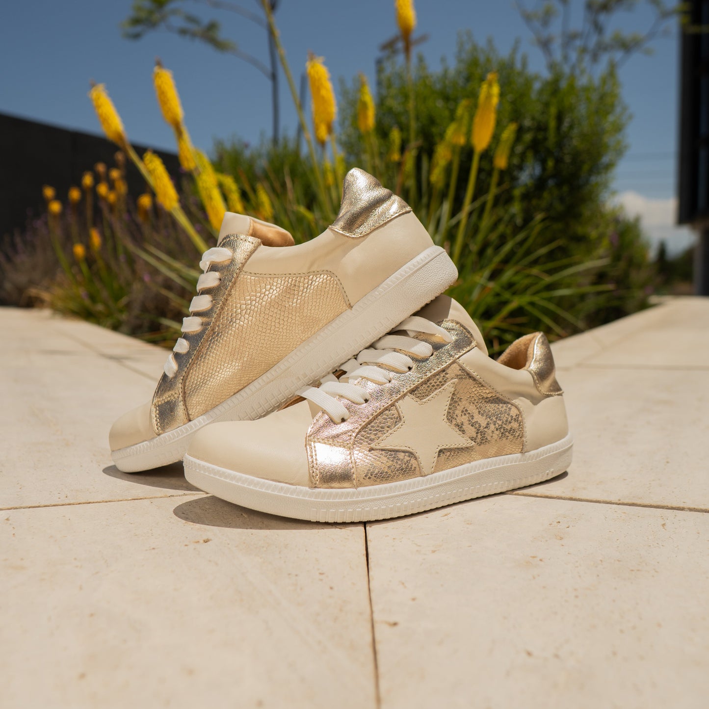Zapatilla GoldStar
