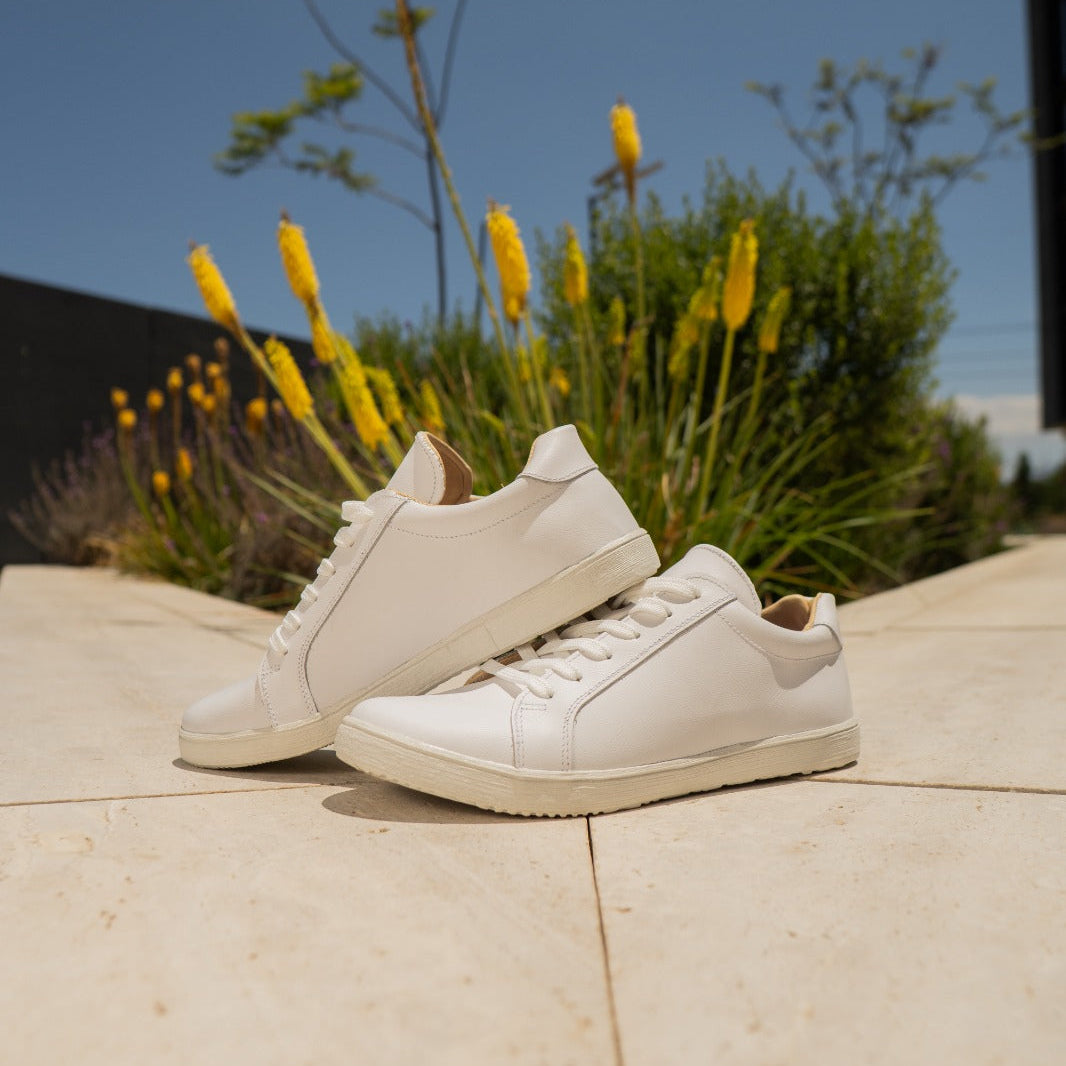 Zapatilla Lowhite