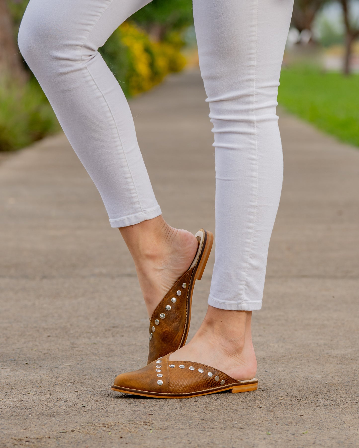 Puntilla Oasis agreste