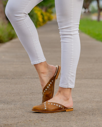 Puntilla Oasis agreste