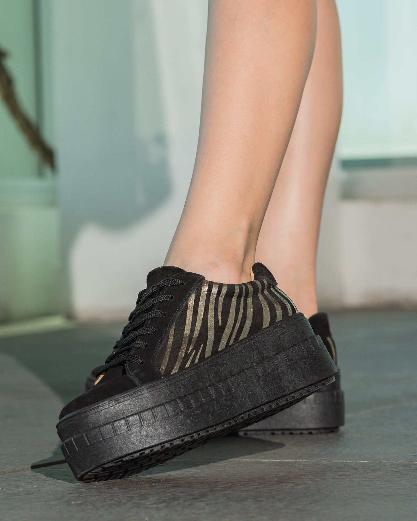 Zapatilla Cebra Gold