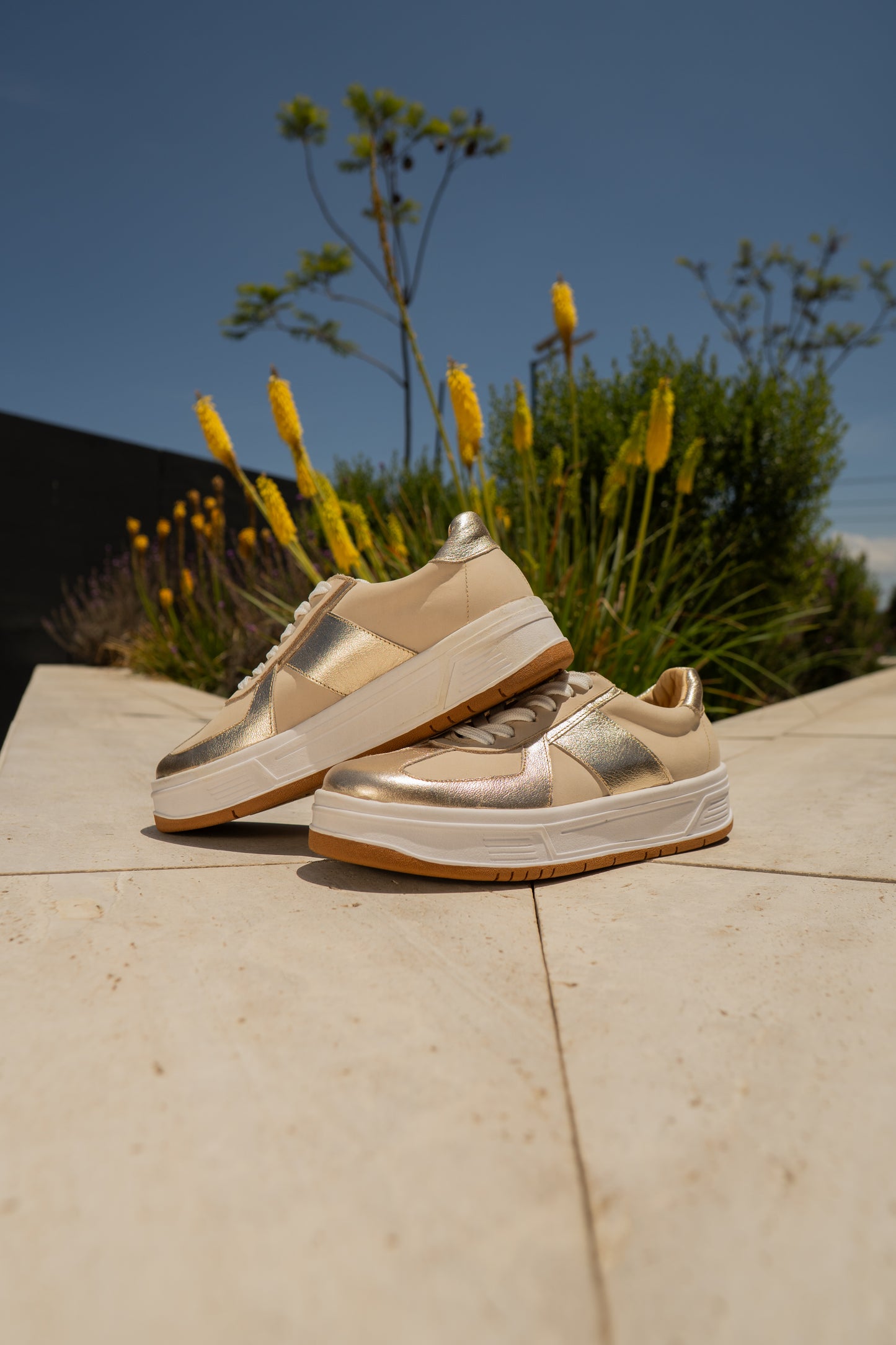 Zapatilla Golden Cream