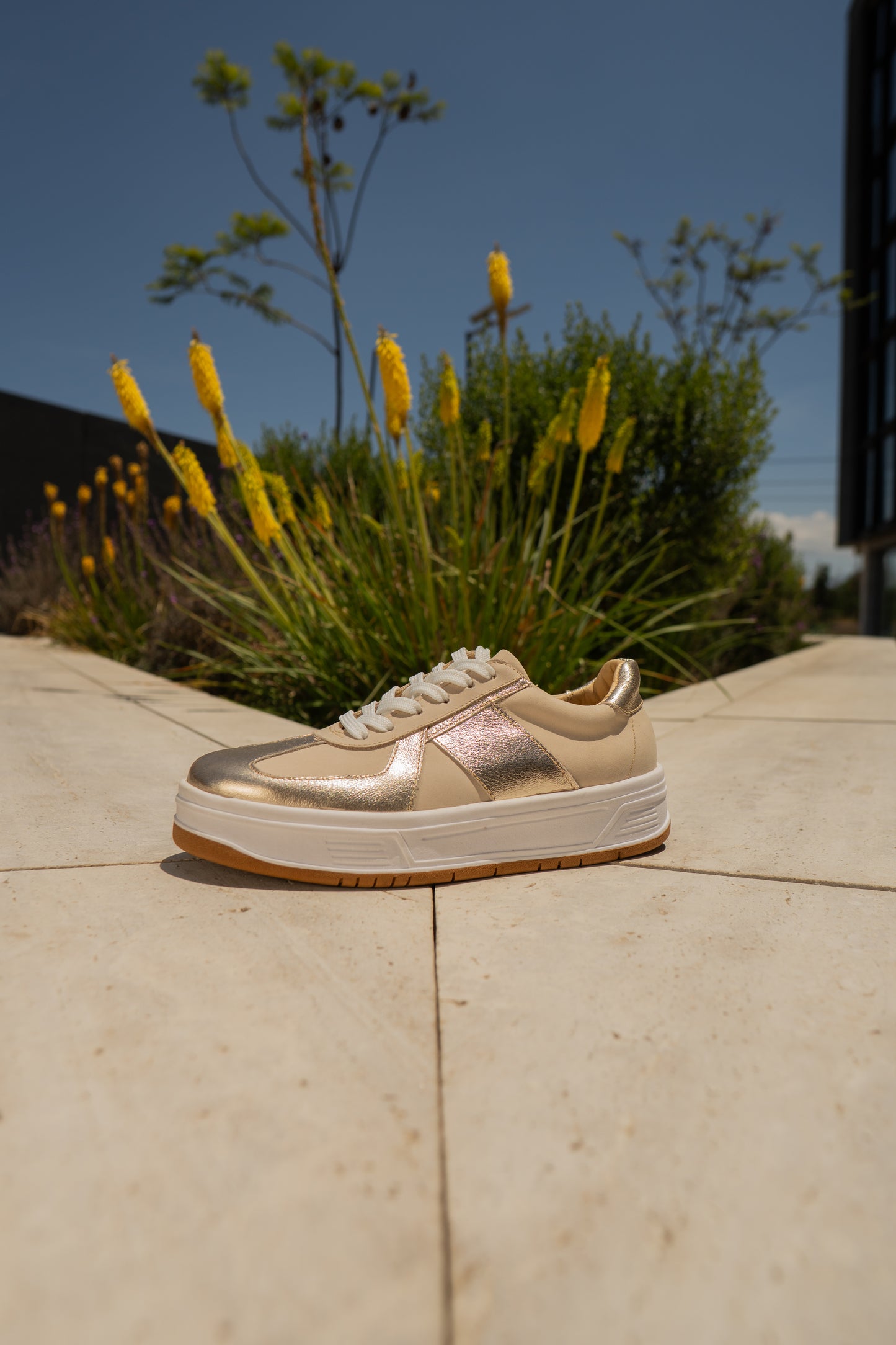 Zapatilla Golden Cream