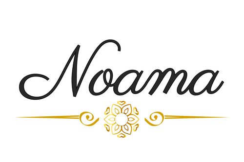 NOAMA CHILE